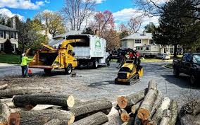 Best Lawn Disease Treatment  in Memphis, TN