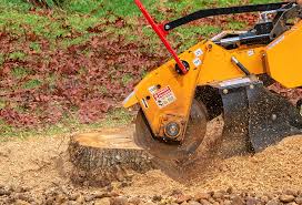 Best Grass Overseeding  in Memphis, TN