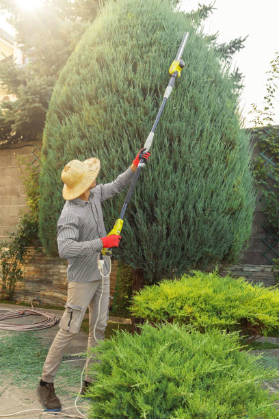 Best Artificial Turf Installation  in Memphis, TN